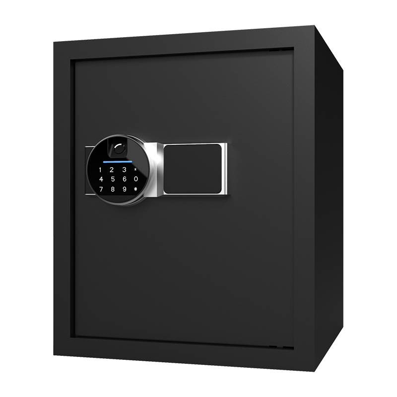 BS0142 40L biometrischer Heimsafe