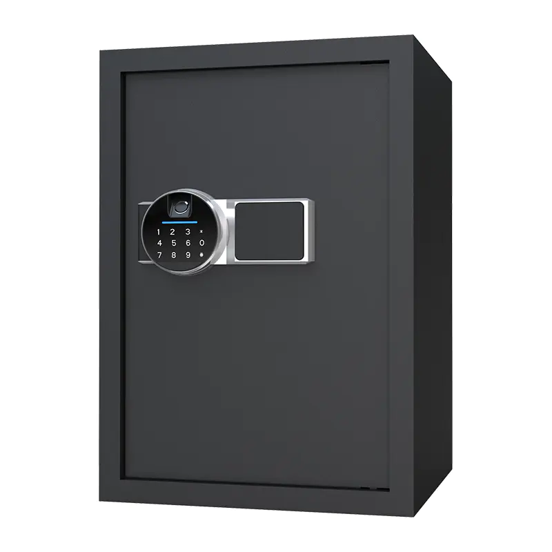 BS0150 48L biometrischer Heimtresor